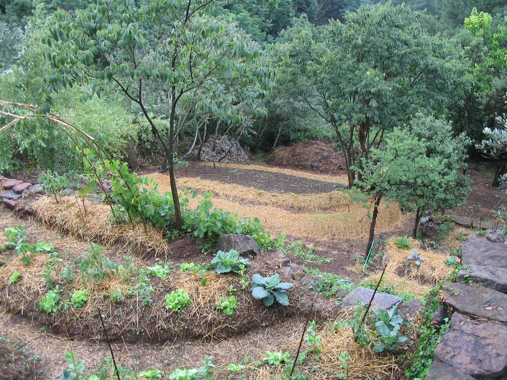 Photo de jardin 7
